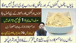 Quotes About Life|Best Urdu Quotes/Hazrat Ali Quotes|Rumi Quotes Urdu/Golden Words/Quotes