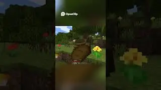 Water, Forest, and Quiet 🌸 | Cozy Minecraft Survival