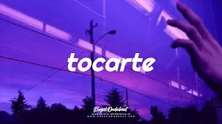 TOCARTE 👈 Dancehall Trapeton Instrumental 2022 | Pista estilo Sech x Dalex TYPE BEAT