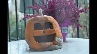 Pumpkin rotting timelapse