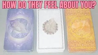 PICK - A - CARD HOW DOES YOUR PERSON REALLY FEEL ABOUT YOU RIGHT NOW?