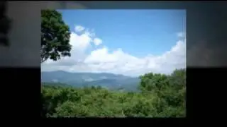 Oak Ridge NC Real Estate