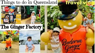 Things to do in Gold Coast | The Ginger factory Sunshine coast | The ginger factory | Travel Vlog