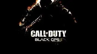 Call of Duty Black Ops 2 Radeon HD 5450