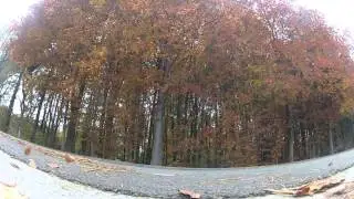 GO PRO TROT EDIT
