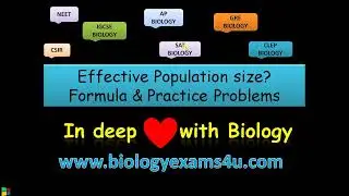 What is an Effective Population Size? Calculation and Practice Problems