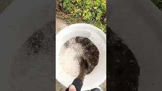 Dirty water from grubby carpets #57