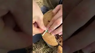 waterproof matches