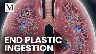 5 Easy Ways to Cut Your Microplastic Exposure Now | Mercola Cellular Wisdom