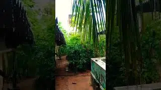 soul of varisu k.s chitra hits