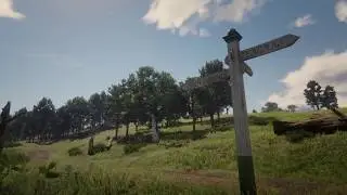 Ambient Red Dead Redemption 2 - Scarlett Meadows 1