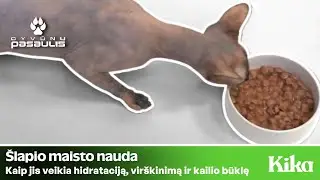 &Scaron;lapias maistas, jo nauda augintiniui žiemą