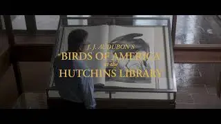 Episode One: Birds of America at the Hutchins Library