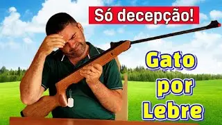 Comprei um gato e me mandaram um lebre, só decepção 