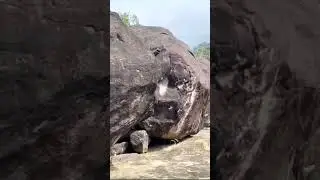 Koodaranji