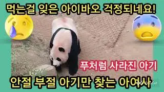 #푸바오 #save Fubao #아이바오 푸바오 잃을 때처럼 상실감 어쩔?#행복이푸  채널