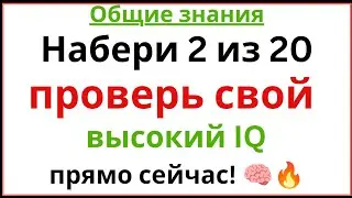 Если ты сможешь набрать 2 из 20 — у тебя очень высокий IQ. Пройди этот тест прямо сейчас! 🧠🔥