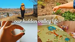 [Introvert Diaries] Life in Canada | Dried Flower Art