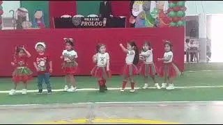 Burrito sabanero 2025 -Alaia bebe