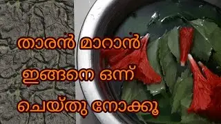 How to get rid of dandruff naturally at home|chemabarathi thali for remove dandruff