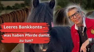 Wie du in die Fülle kommst: HIER ERFÄHRST DU ES!
