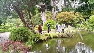 Japanese Tea Garden 