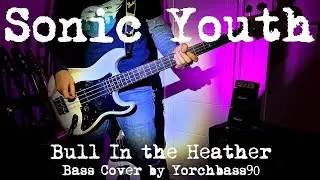 Sonic Youth - Bull In The Heather Bass Cover + Lyrics (Stratocaster Bass)