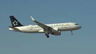 Brussels Airlines Airbus 320 OO-SNP Landing Malaga LEMG STAR ALLIANCE LIVERY