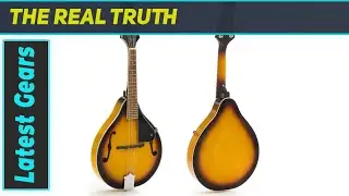 Hola! Music 8 String Mandolin Best for Small Shows and Practice