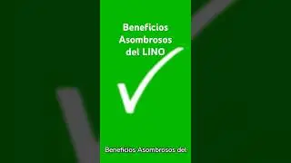 ✅Superalimento LINO #superalimento #linen #salud #health #diet #healthy #dieta #quemadegrasa #tips