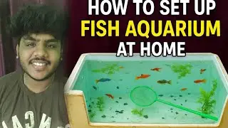 DIY Fridge Box Fish Tank Setup | Budget Aquarium Making Tutorial in Tamil🐠