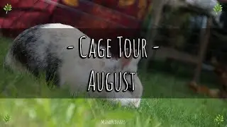 Mein Kaninchengehege - Cage Tour August