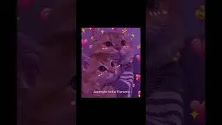 Cat funny videos #90ssongs #90svintage #90s #cat #cheems #dog #songs