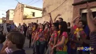 Quintos 2014 en Cadreita junior y senior. Artistas del Gremio. Parte 2