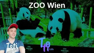 Zoo Wien Sch&ouml;nbrunn, Zoo Vienna, Zoo V&iacute;deň Sch&ouml;nbrunn, Toti & Life, Toti trip