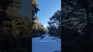❄️ Rodando con el coche sobre nieve🥰
