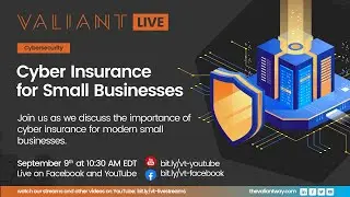 Cyber Insurance for Small Businesses