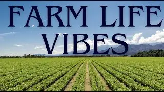Peaceful FARM Life Vibes! Soothing Countryside Music with Animals & Farmland Views #vibewars