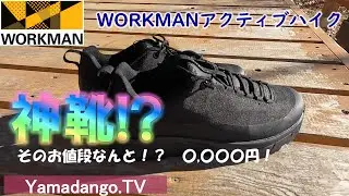 【登山ギア紹介】WORKMANアクティブハイク　～コスパ最強のハイキングシューズを紹介します～
