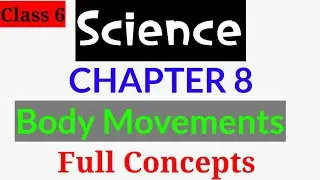 Body Movements | Class 6 | Chapter 8 | Science |