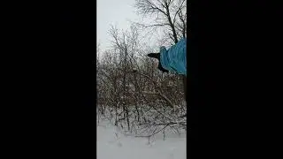 Take a hike with me, I found a hawk!