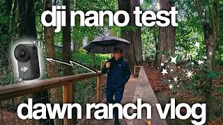 DJI Osmo Nano на ранчо Dawn: финальный тест камеры для видеоблогов