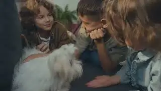 Boxer Dog Pros and Cons Video, #BoxerDog #DogShorts #ProsAndCons #BoxerLovers #WeLoveAnimals