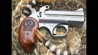 The Snake Slayer by Bond Arms