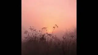 ｆｕｙｕ . - september 九月