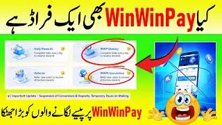 WinWinPay New Update || Kya WinWinPay Ek Fraud ha || WinWinPay Shocking Update || Urdu\Hindi