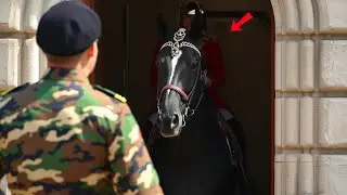 CHAOS! BOTH ROYAL GUARD HORSES GET TERRIBLY SPOOKED! 🐎 | Horse Guards, Royal guard, Kings Guard