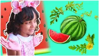Kids Fun Activity during Lock down - Summer Activity - Sunscreen for Kids