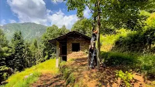 04 Day 1 Restoration | Building Tent Pad | Meeting with Builders | Clearing Brush | Start of Work!