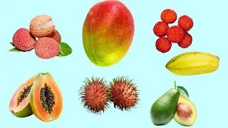 Tropical Fruits & Veggies in English 🍍🥑 | Learn with Pictures & Native Pronunciation (Part1)